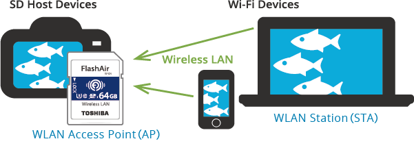 FlashAir device example